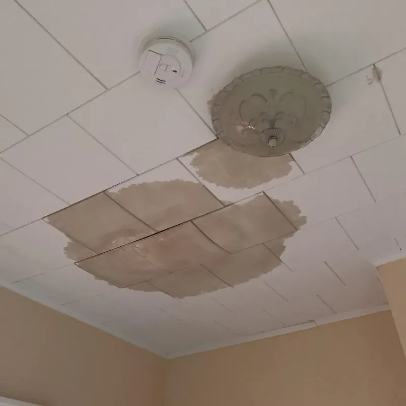 Ceiling Water Damage Repair in Riverside, CT