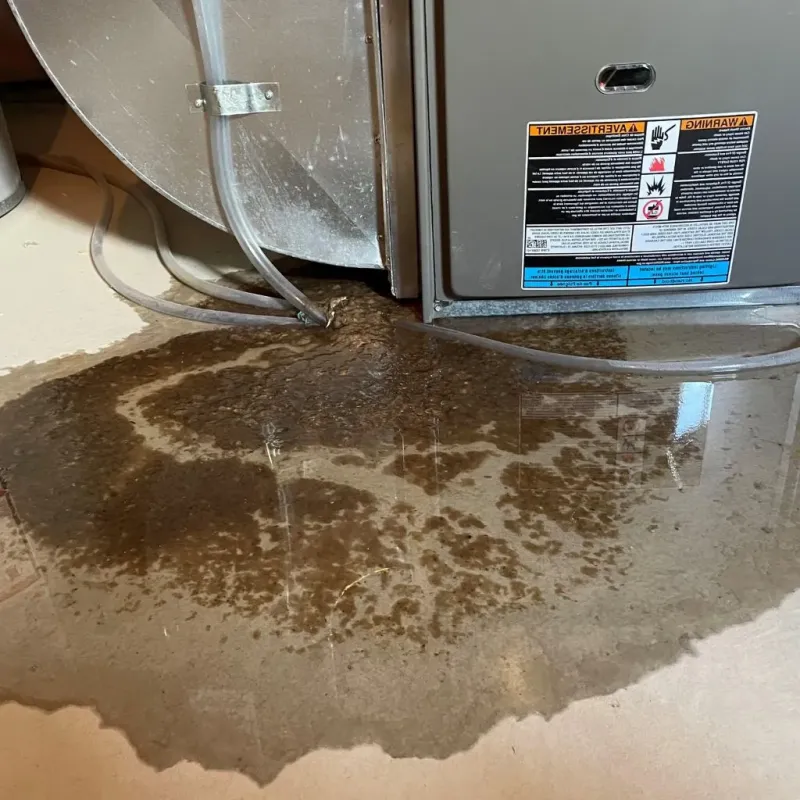 Pipe Burst and Leak Restoration in Riverside, CT